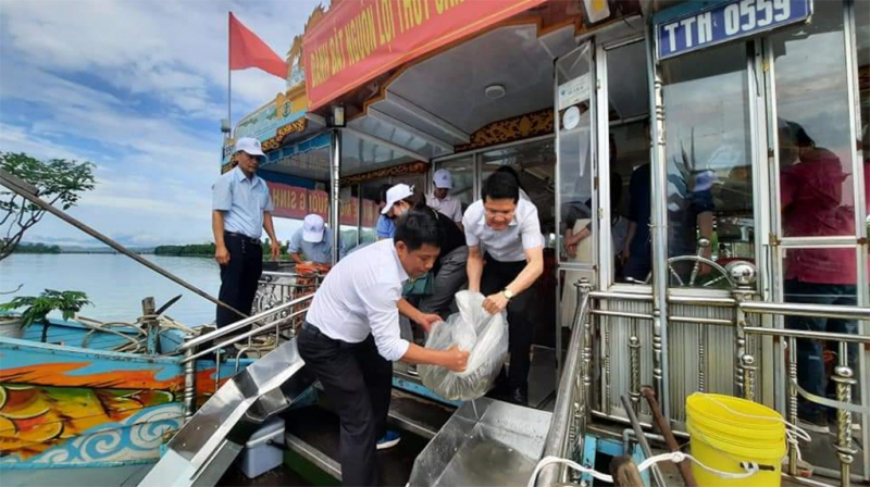 Thừa Thiên Huế: Thả hơn 32 nghìn con cá giống tái tạo nguồn lợi thủy sản trên sông Hương